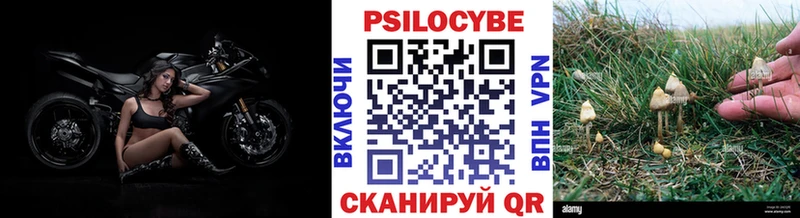 как найти закладки  Салават  KRAKEN рабочий сайт  Галлюциногенные грибы Magic Shrooms 